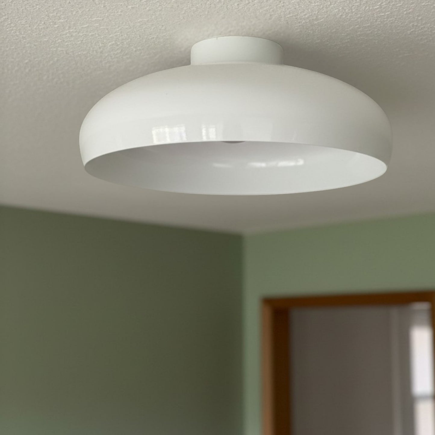 Plafonnier en métal avec 1 lampe