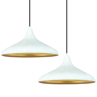 2 lampes suspendues en métal E27