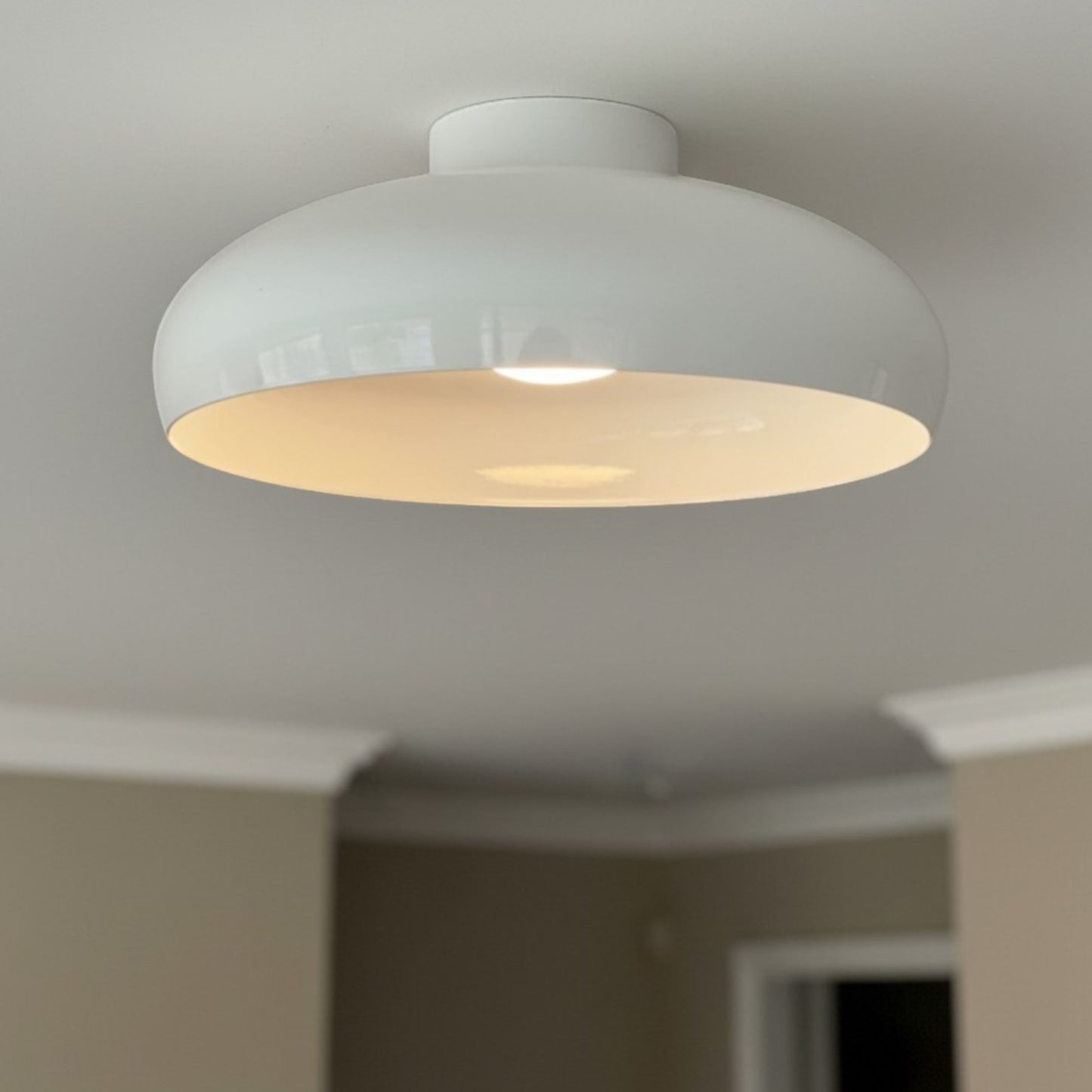 Plafonnier en métal avec 1 lampe